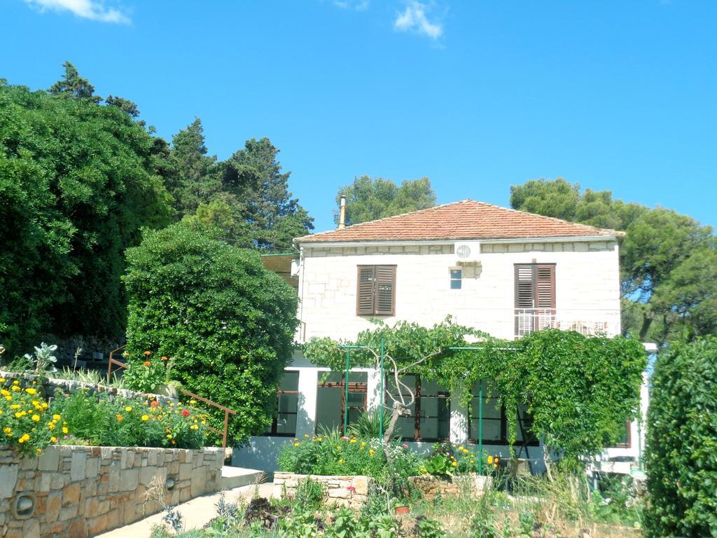 Apartments Skrivaneli 젤사 외부 사진